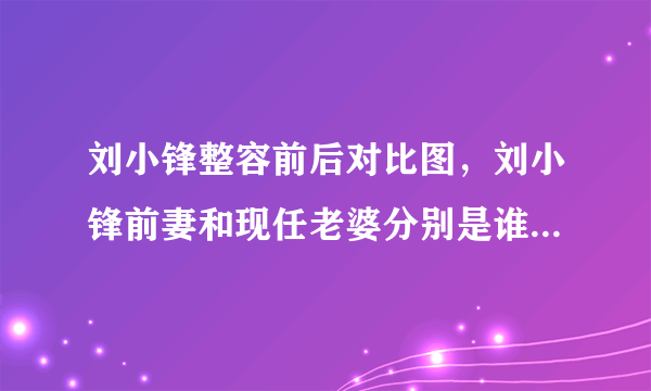 刘小锋整容前后对比图，刘小锋前妻和现任老婆分别是谁？_飞外网