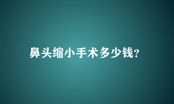 鼻头缩小手术多少钱？