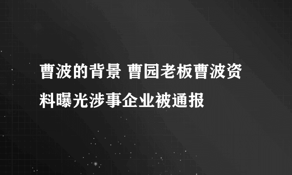 曹波的背景 曹园老板曹波资料曝光涉事企业被通报