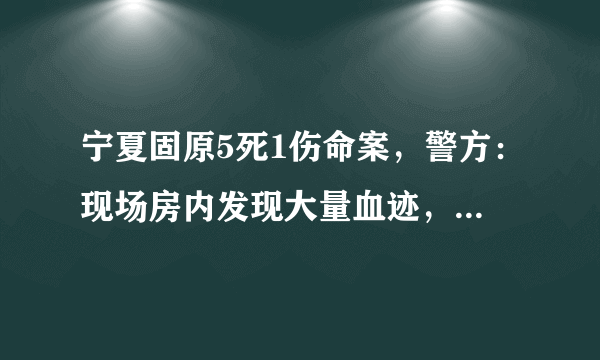 宁夏固原5死1伤命案，警方：现场房内发现大量血迹，2女子3儿童死亡，系母子, 你怎么看？