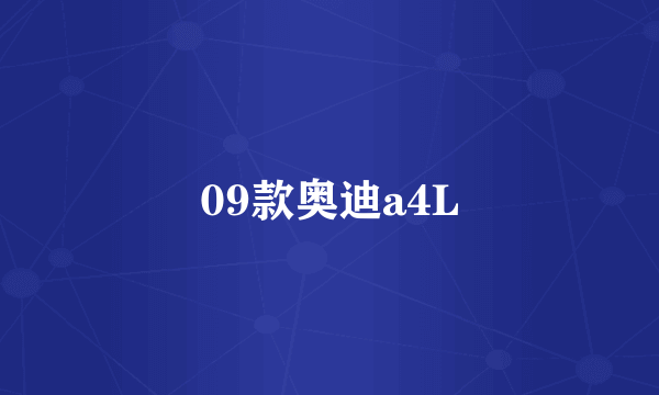 09款奥迪a4L