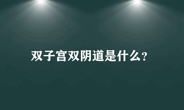 双子宫双阴道是什么？