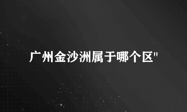 广州金沙洲属于哪个区