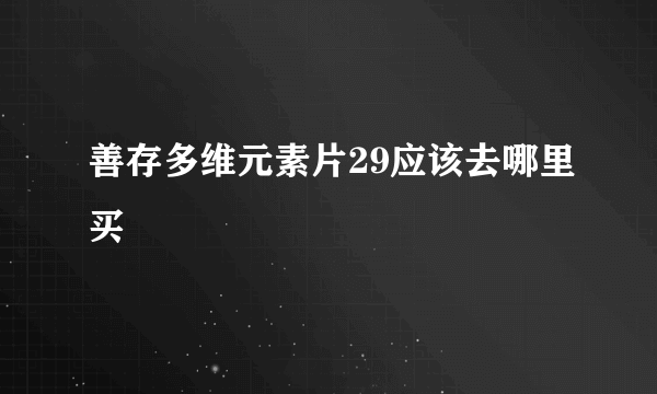 善存多维元素片29应该去哪里买