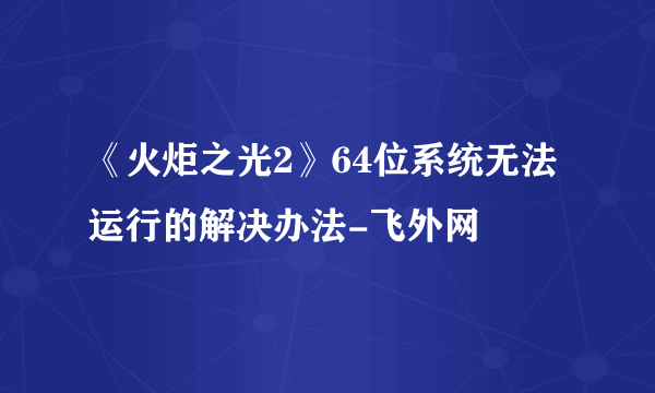 《火炬之光2》64位系统无法运行的解决办法-飞外网