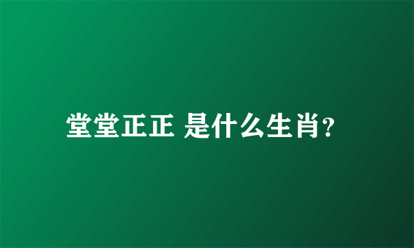 堂堂正正 是什么生肖？