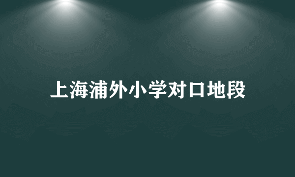 上海浦外小学对口地段