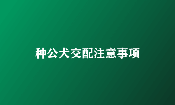 种公犬交配注意事项