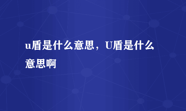 u盾是什么意思，U盾是什么意思啊