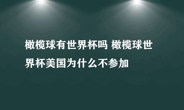 橄榄球有世界杯吗 橄榄球世界杯美国为什么不参加