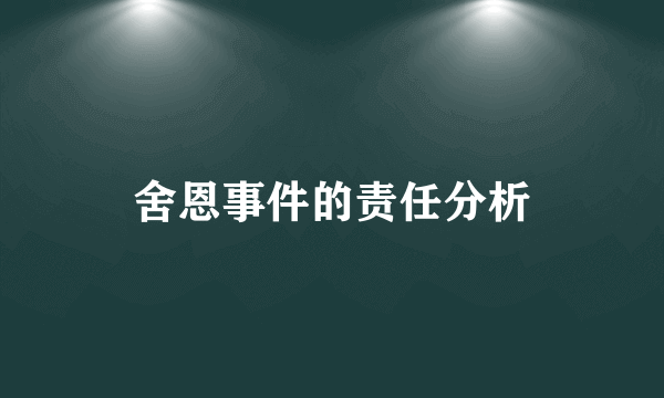 舍恩事件的责任分析