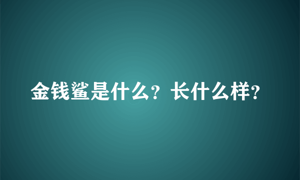 金钱鲨是什么？长什么样？