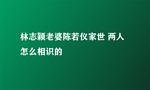 林志颖老婆陈若仪家世 两人怎么相识的