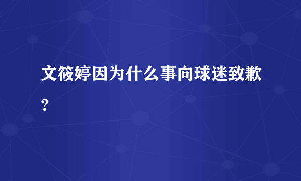 文筱婷因为什么事向球迷致歉？