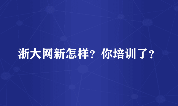 浙大网新怎样？你培训了？