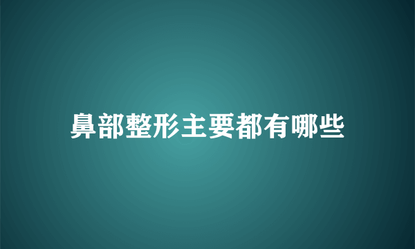 鼻部整形主要都有哪些