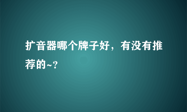 扩音器哪个牌子好，有没有推荐的~？