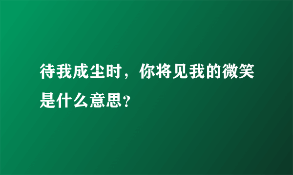 待我成尘时，你将见我的微笑是什么意思？