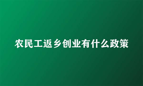 农民工返乡创业有什么政策