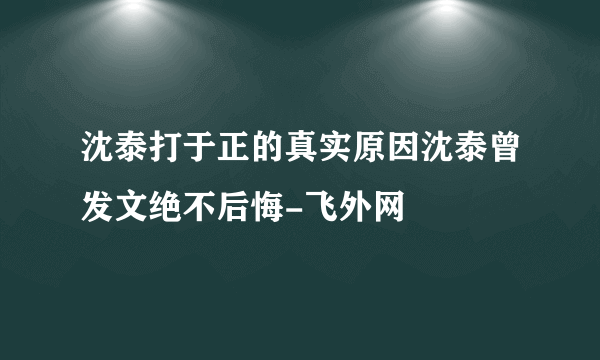 沈泰打于正的真实原因沈泰曾发文绝不后悔-飞外网