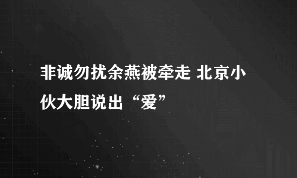 非诚勿扰余燕被牵走 北京小伙大胆说出“爱”