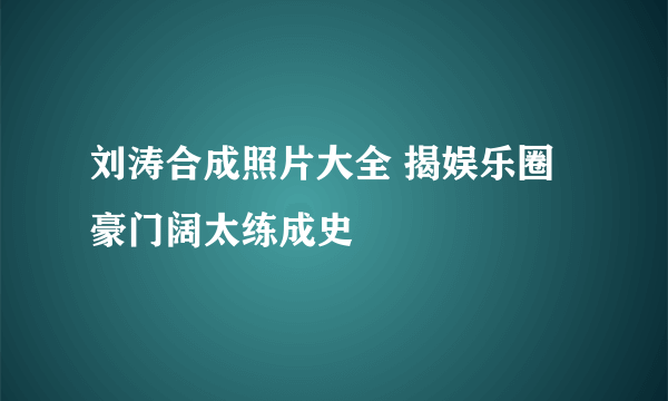 刘涛合成照片大全 揭娱乐圈豪门阔太练成史