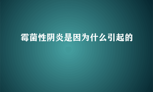 霉菌性阴炎是因为什么引起的