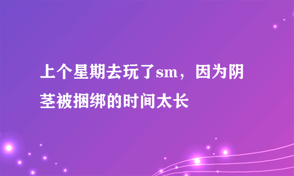 上个星期去玩了sm，因为阴茎被捆绑的时间太长