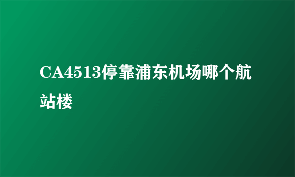 CA4513停靠浦东机场哪个航站楼