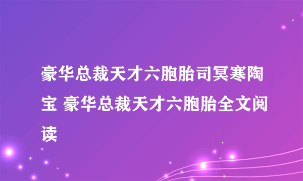 豪华总裁天才六胞胎司冥寒陶宝 豪华总裁天才六胞胎全文阅读