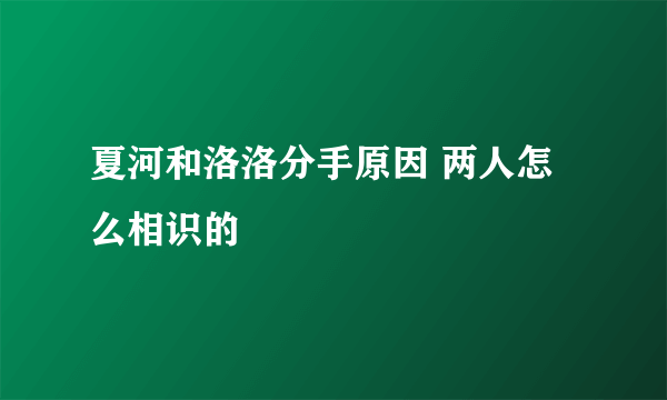 夏河和洛洛分手原因 两人怎么相识的