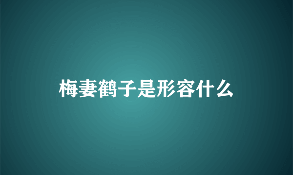 梅妻鹤子是形容什么