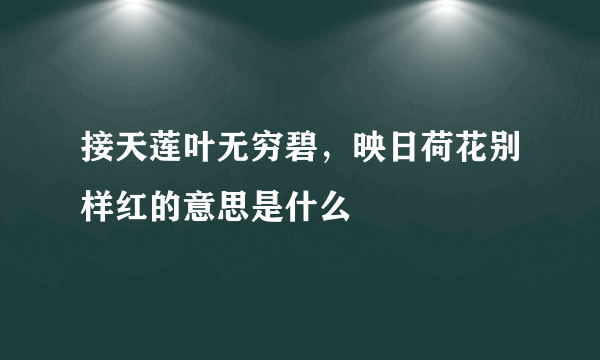 接天莲叶无穷碧，映日荷花别样红的意思是什么