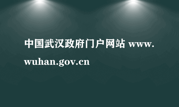 中国武汉政府门户网站 www.wuhan.gov.cn