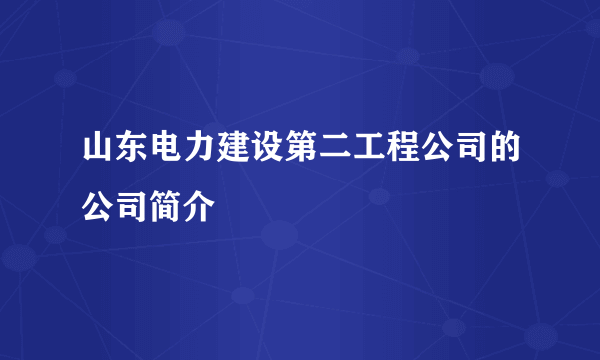 山东电力建设第二工程公司的公司简介