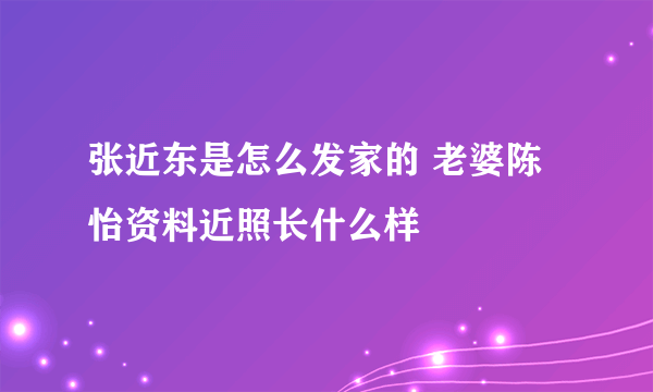 张近东是怎么发家的 老婆陈怡资料近照长什么样