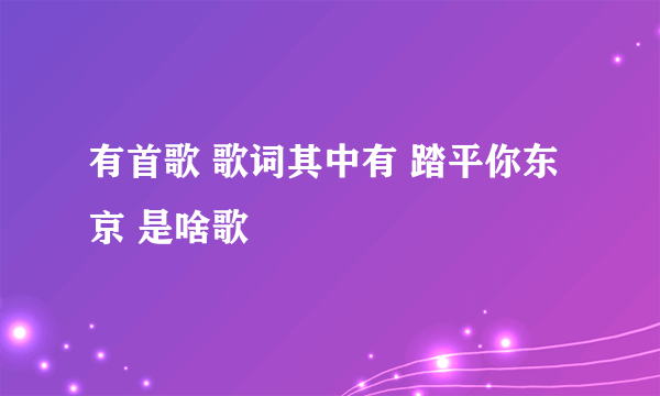 有首歌 歌词其中有 踏平你东京 是啥歌