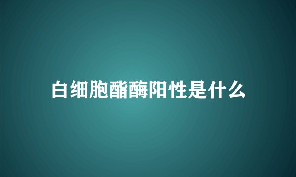 白细胞酯酶阳性是什么