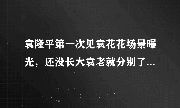 袁隆平第一次见袁花花场景曝光，还没长大袁老就分别了(附视频)—飞外