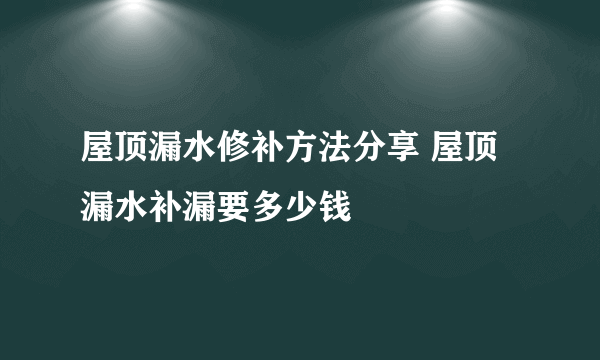 屋顶漏水修补方法分享 屋顶漏水补漏要多少钱