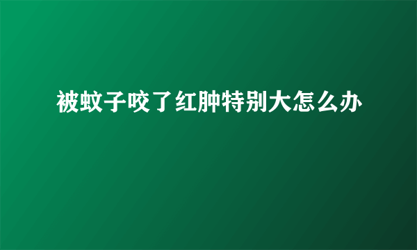 被蚊子咬了红肿特别大怎么办