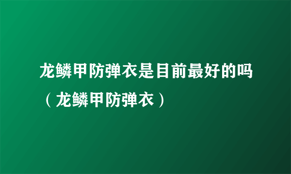 龙鳞甲防弹衣是目前最好的吗（龙鳞甲防弹衣）