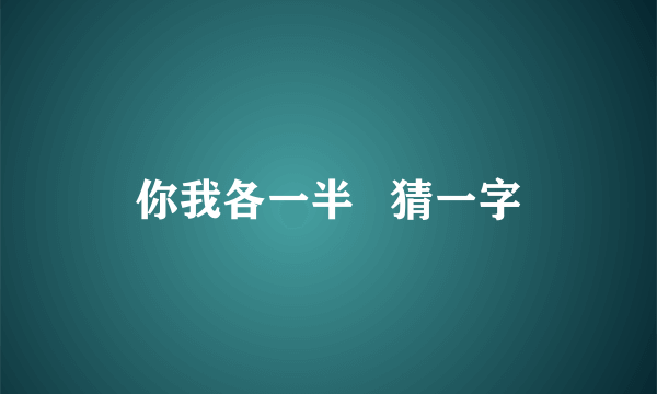 你我各一半   猜一字