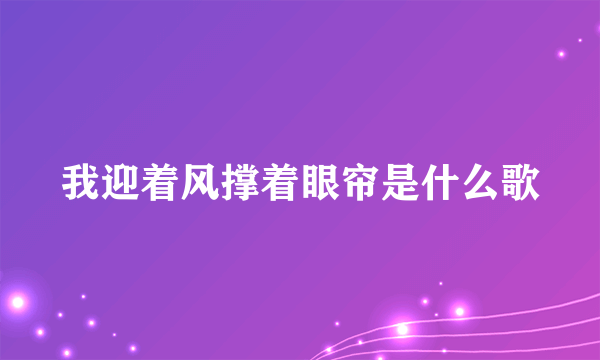 我迎着风撑着眼帘是什么歌