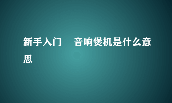 新手入门    音响煲机是什么意思