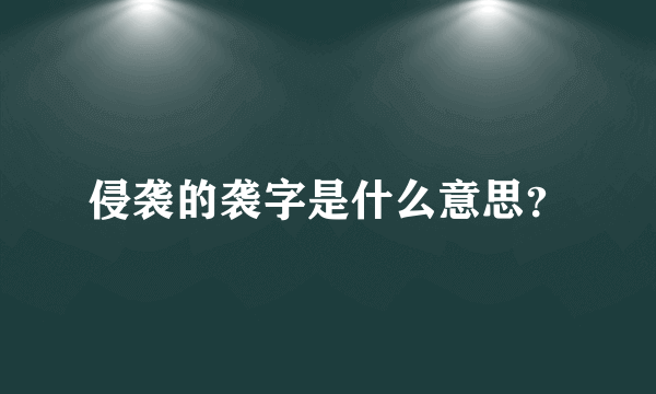 侵袭的袭字是什么意思？