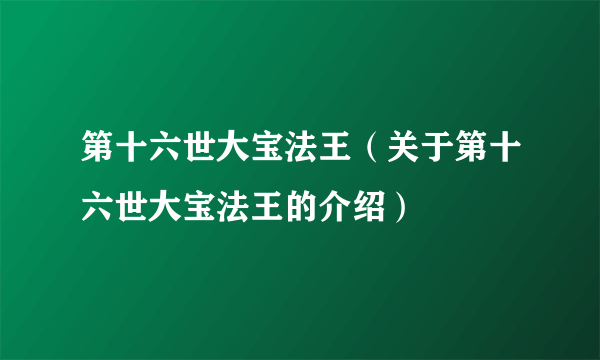 第十六世大宝法王（关于第十六世大宝法王的介绍）