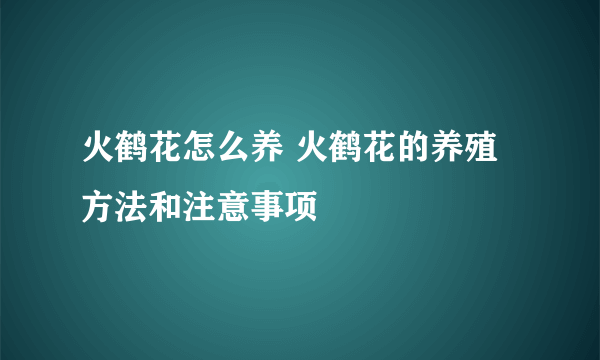 火鹤花怎么养 火鹤花的养殖方法和注意事项