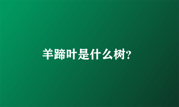 羊蹄叶是什么树？