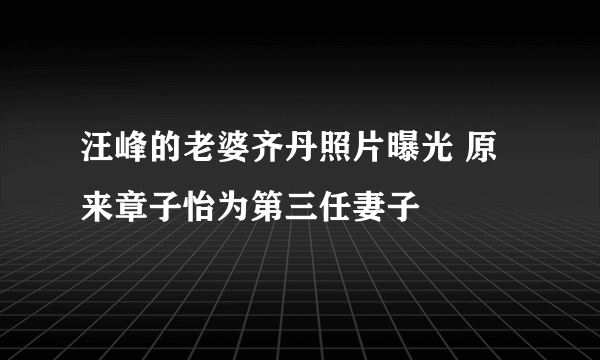 汪峰的老婆齐丹照片曝光 原来章子怡为第三任妻子